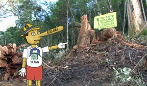 image of Tasmania’s old growth & high conservation value forests STILL sold as ‘eco’ wood! Dob in Ta Ann